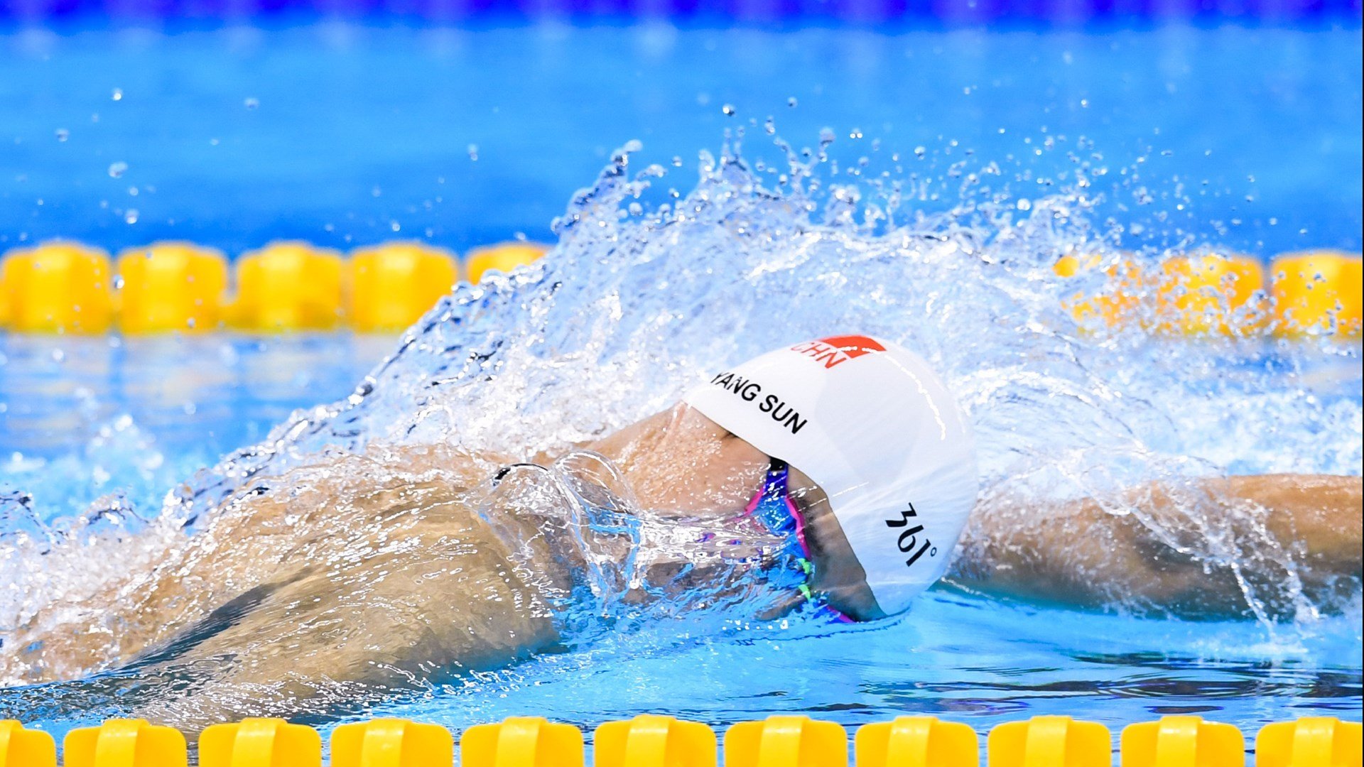 2026体育赛季焦点，新赛季体育